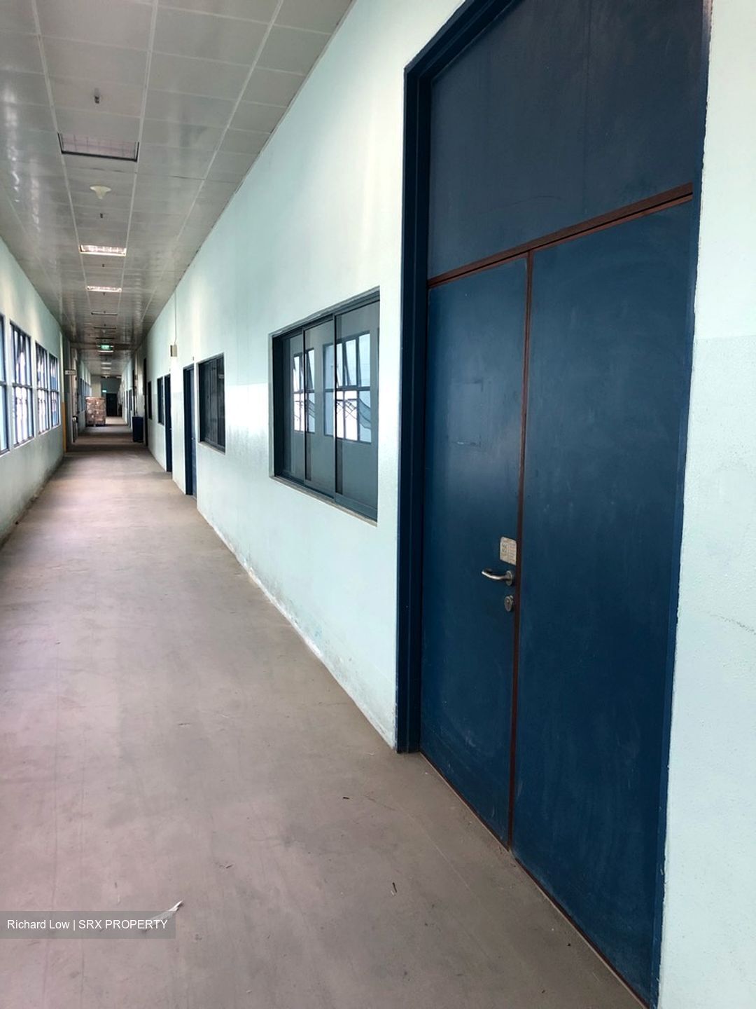 Loyang Industrial Estate (D17), Factory #330869161